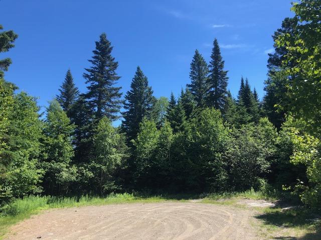 Lot 59 Left Branch Of Summit Road Property Photo 1