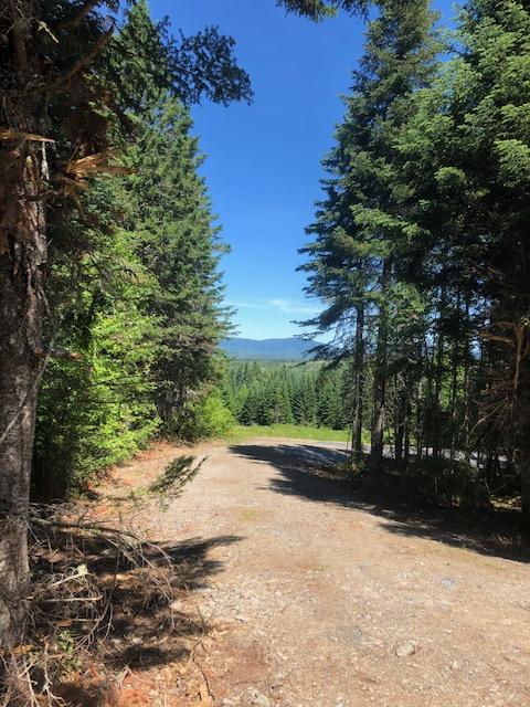 Lot 59 Left Branch Of Summit Road Property Photo 9