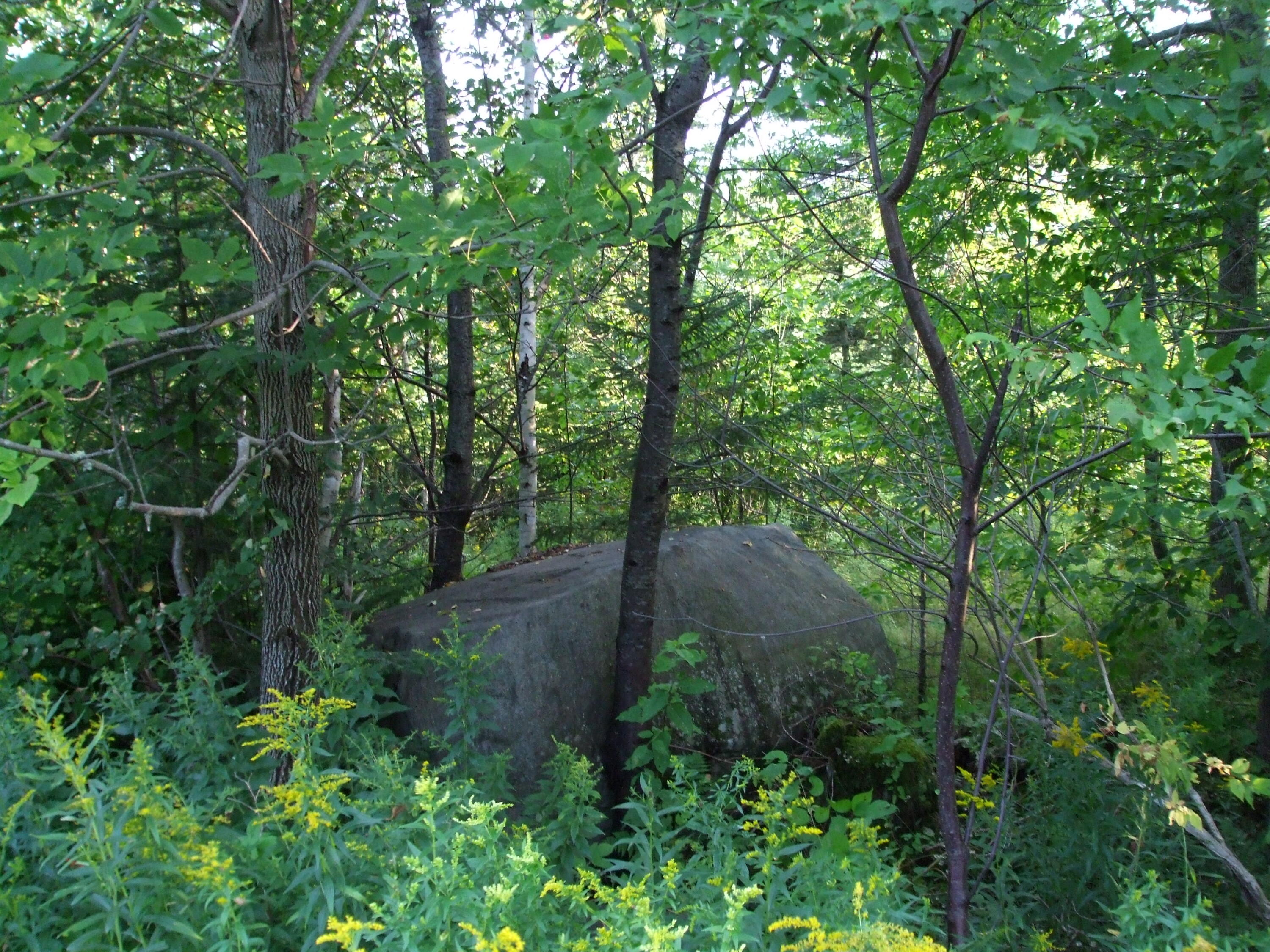Lot 59 Left Branch Of Summit Road Property Photo 11