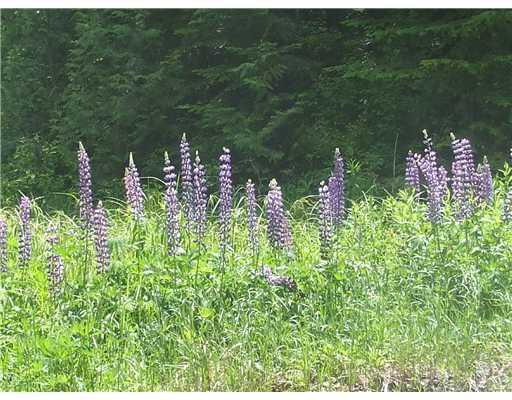 Lot 59 Left Branch Of Summit Road Property Photo 12