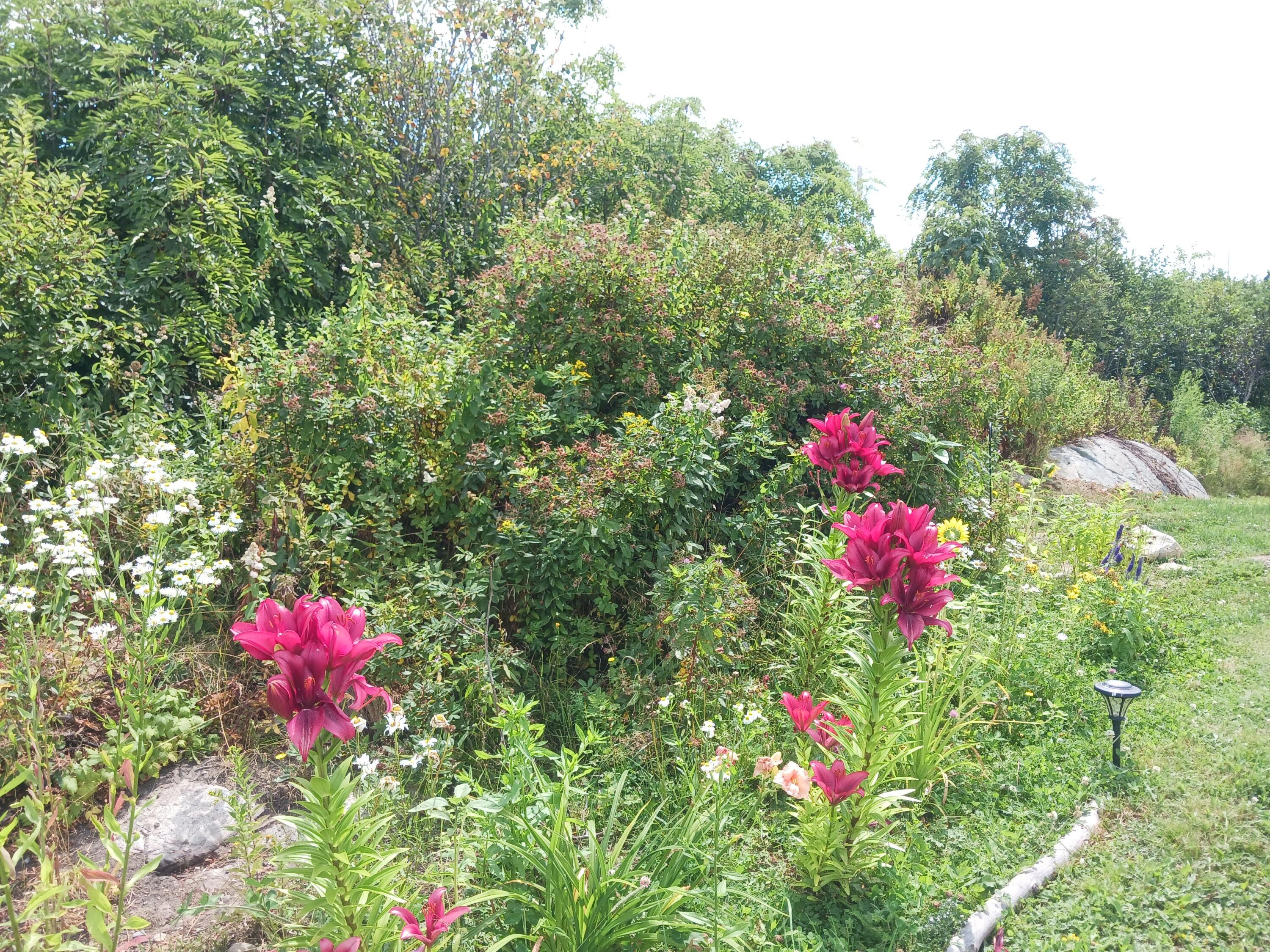 53 Carrying Place Cove Road Property Photo 11