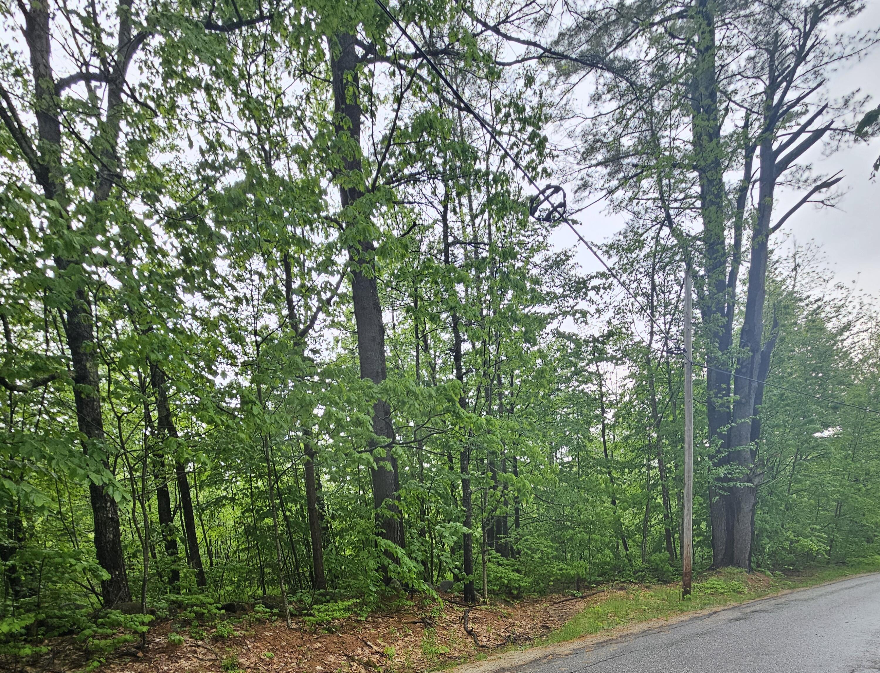 0 Fayette Ridge Road Property Photo 9