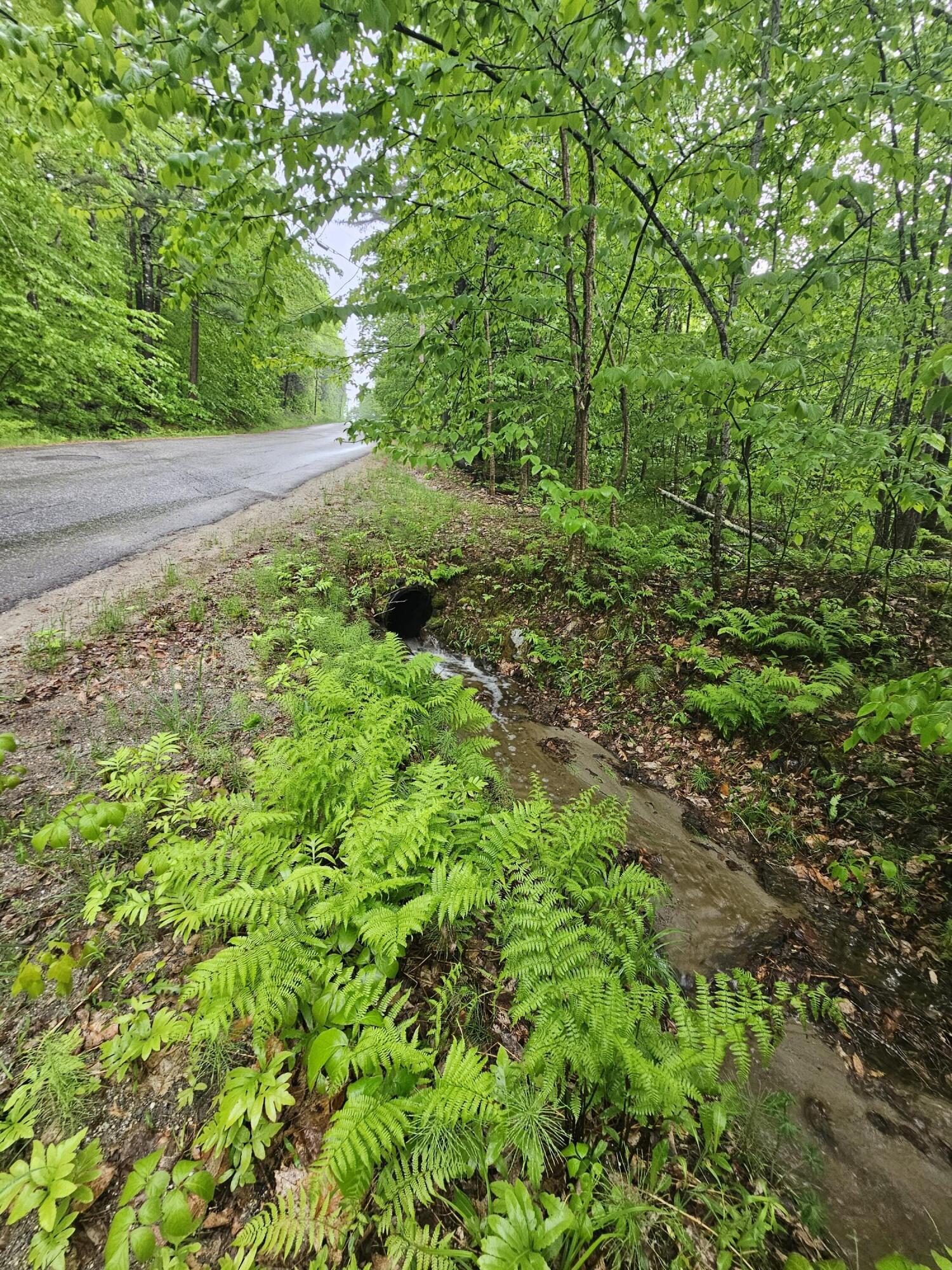 0 Fayette Ridge Road Property Photo 11