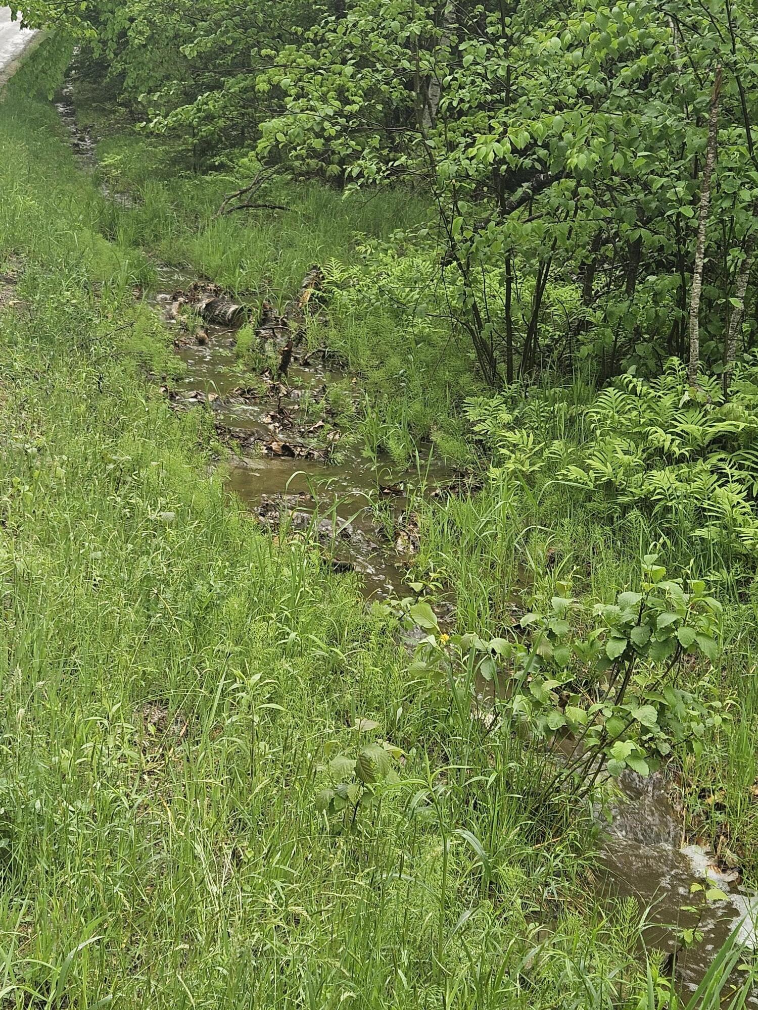 0 Fayette Ridge Road Property Photo 17