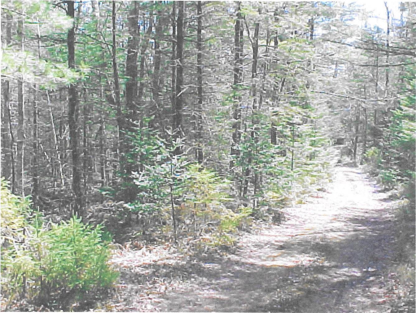1328 Deer Haven Road Property Photo 1