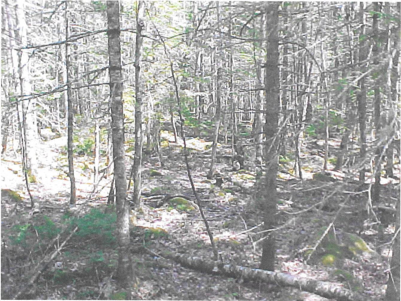 1328 Deer Haven Road Property Photo 2