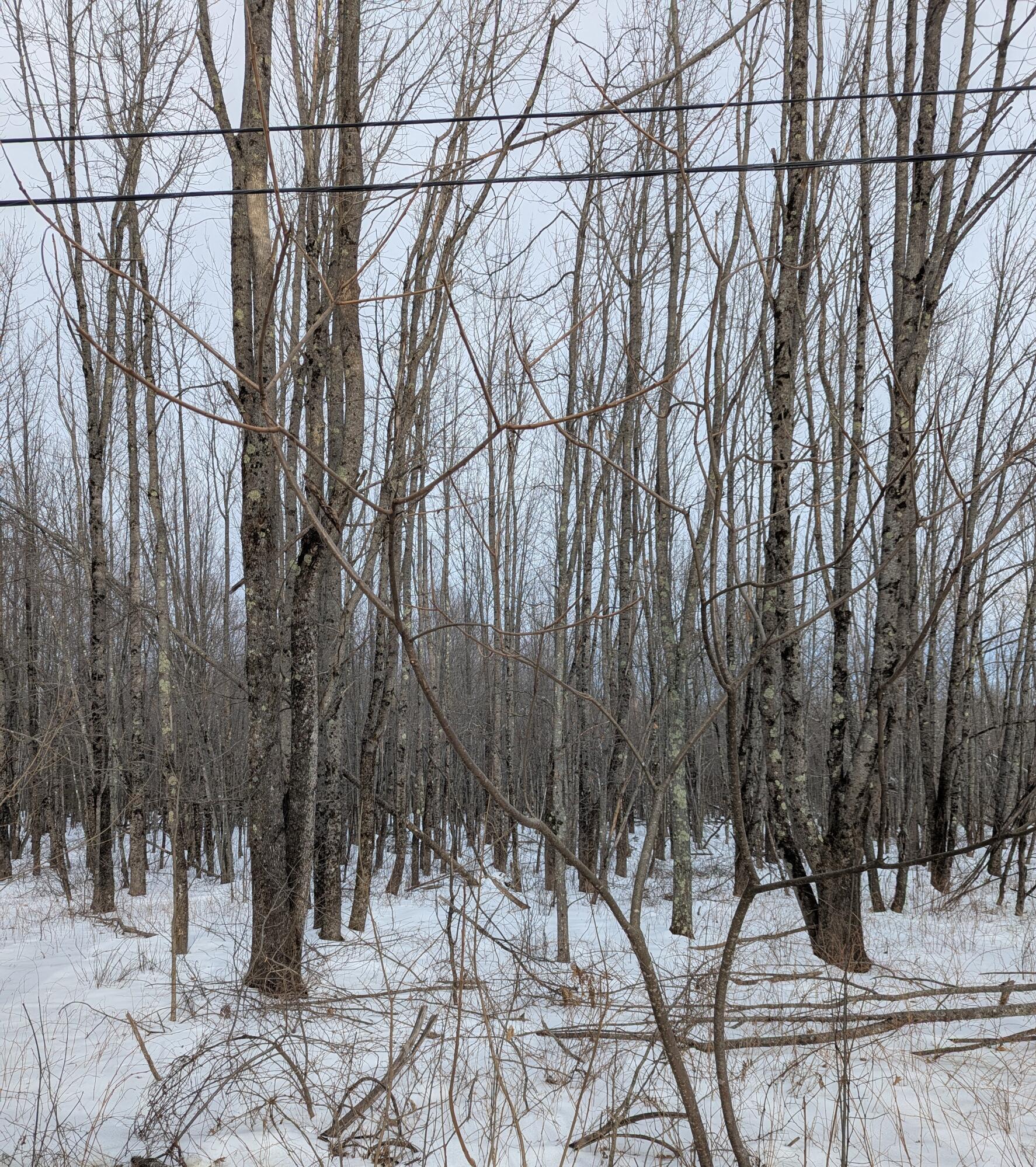 Lot 7 Garcelon Road Property Photo 1