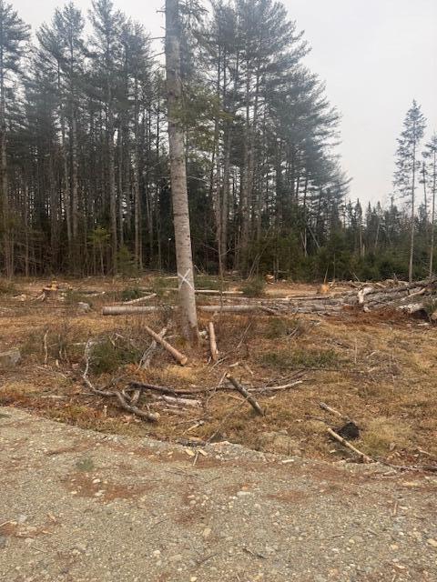 291 Lakins Road Property Photo 3