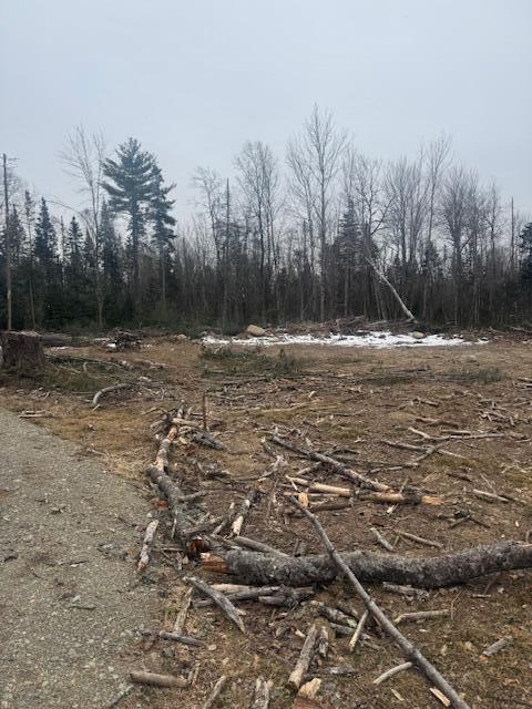 291 Lakins Road Property Photo 5