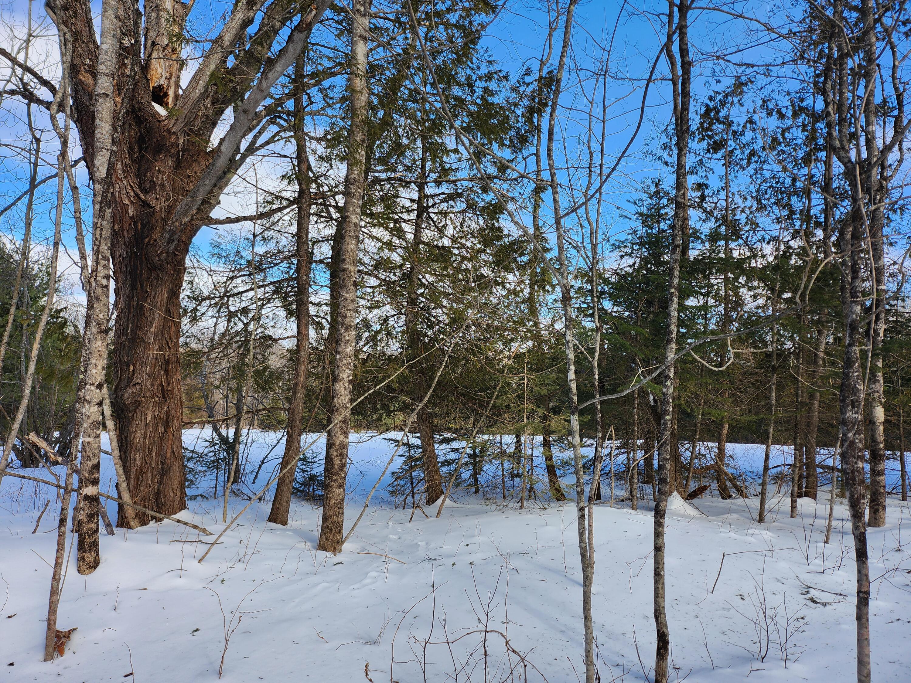 Lot 49-1 Dunn Road Property Photo 2