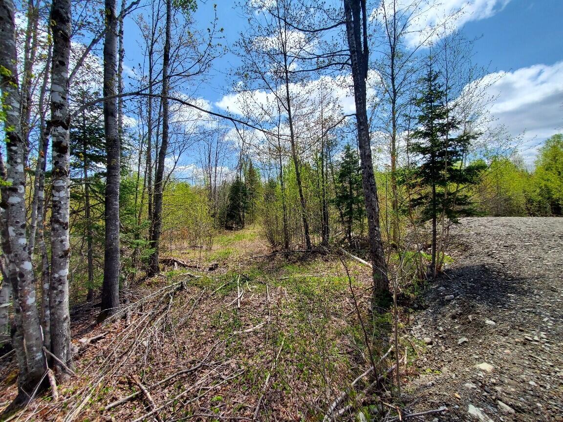 Lot#2 Cone Road Property Photo 5