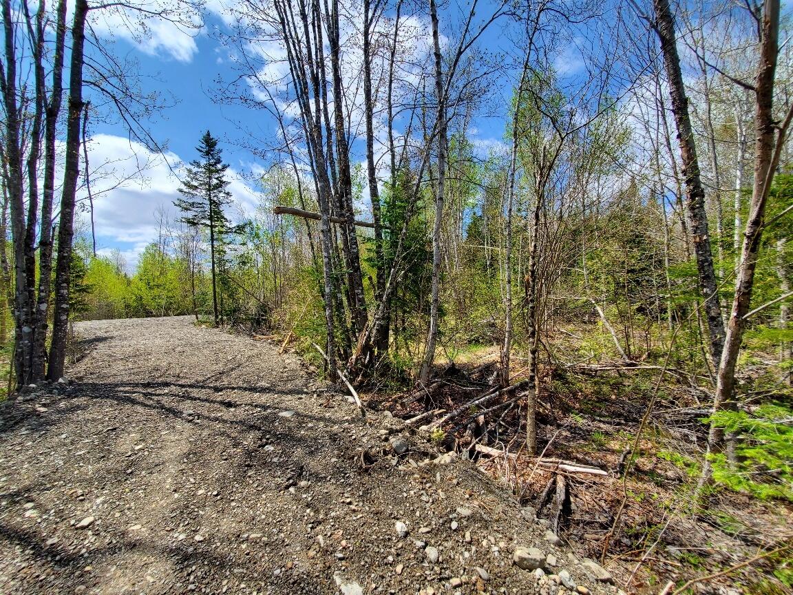 Lot#2 Cone Road Property Photo 7
