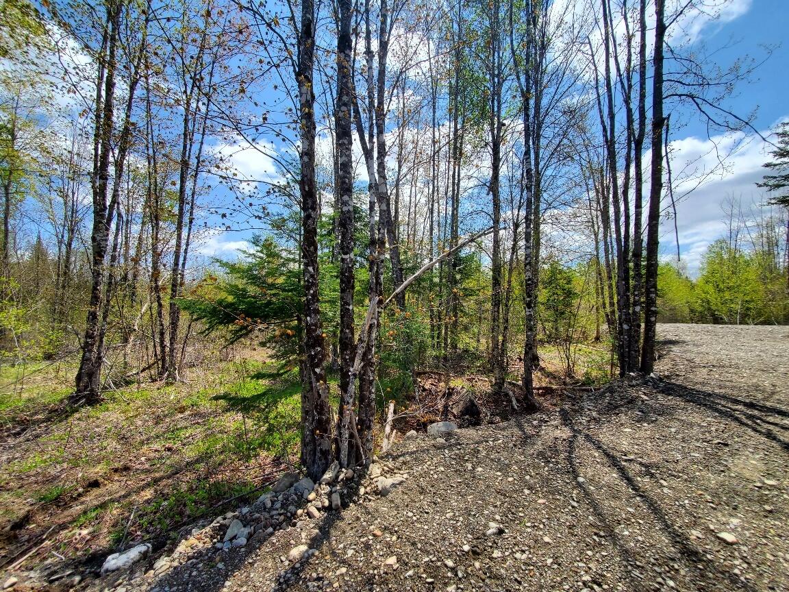 Lot#2 Cone Road Property Photo 8