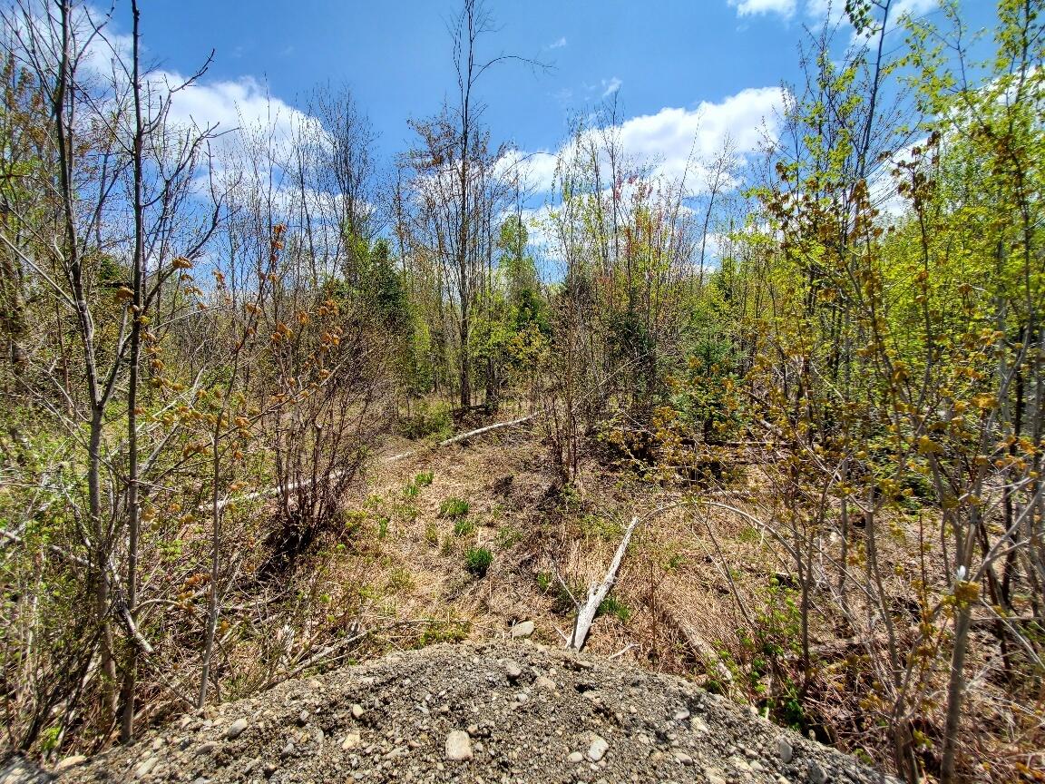 Lot#2 Cone Road Property Photo 10
