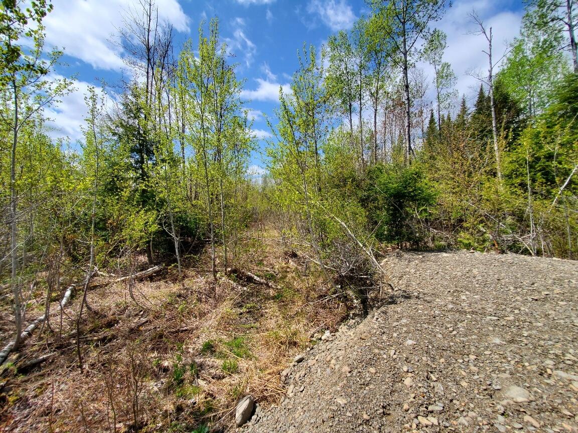 Lot#2 Cone Road Property Photo 11