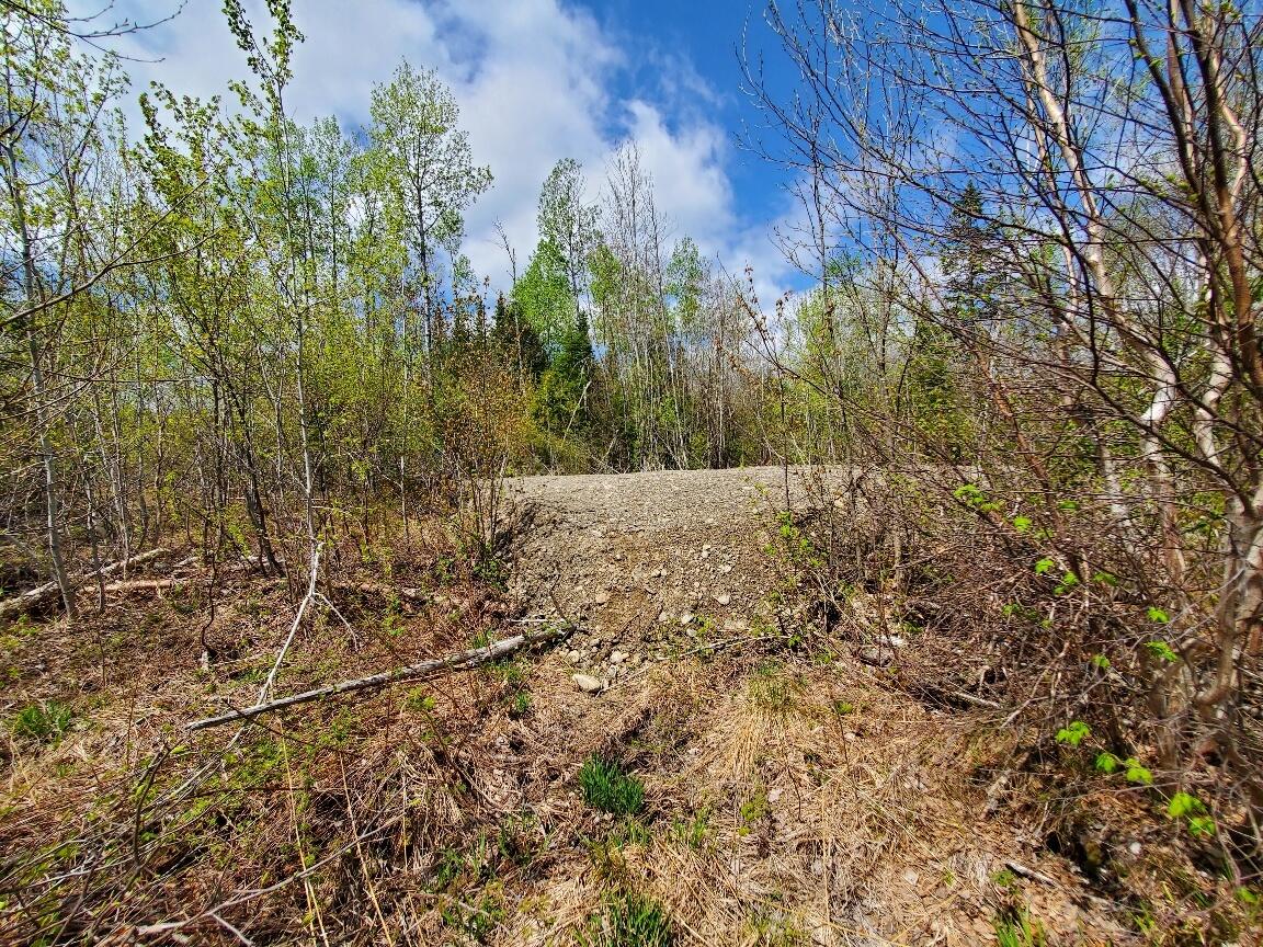 Lot#2 Cone Road Property Photo 12