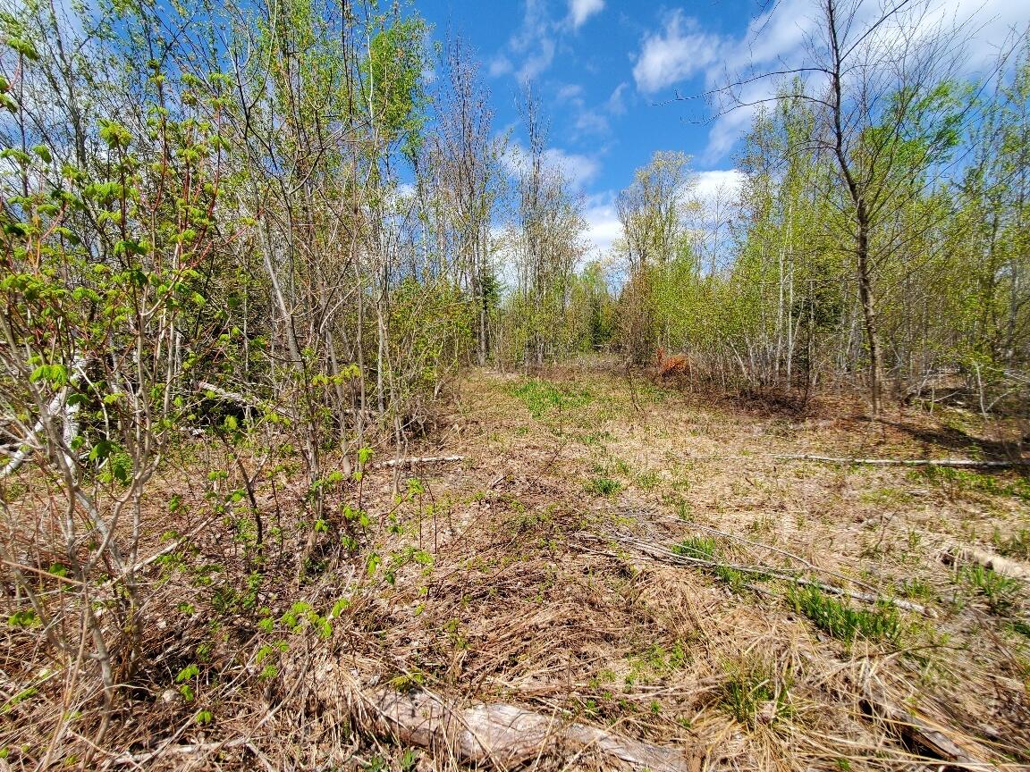 Lot#2 Cone Road Property Photo 13