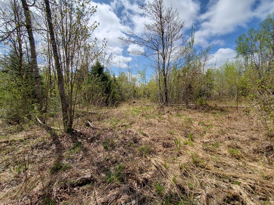 Lot#2 Cone Road Property Photo 14