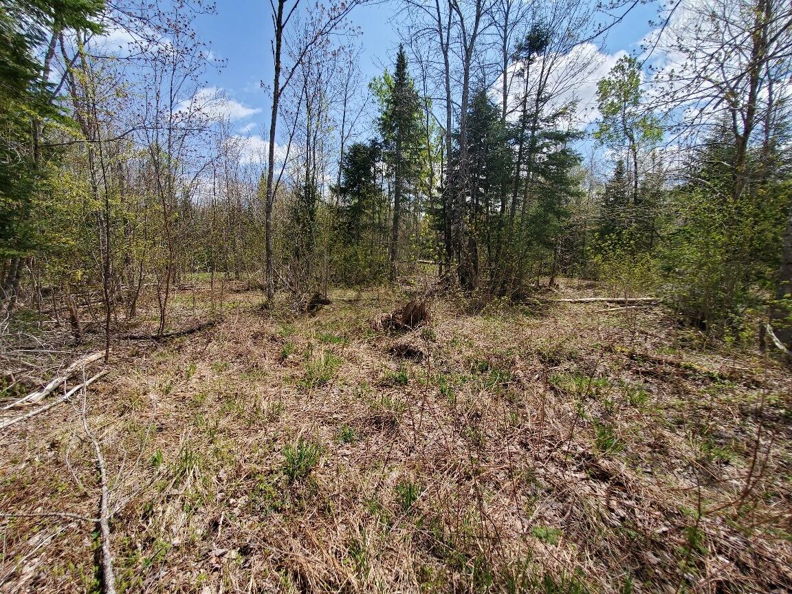 Lot#2 Cone Road Property Photo 15