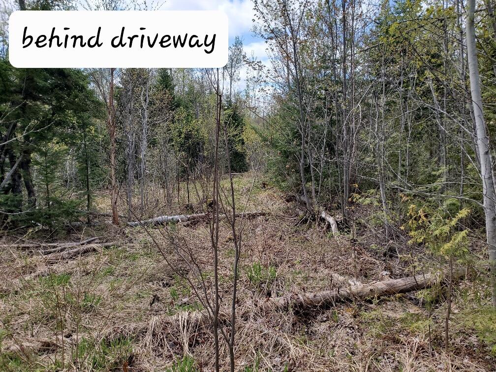 Lot#2 Cone Road Property Photo 17