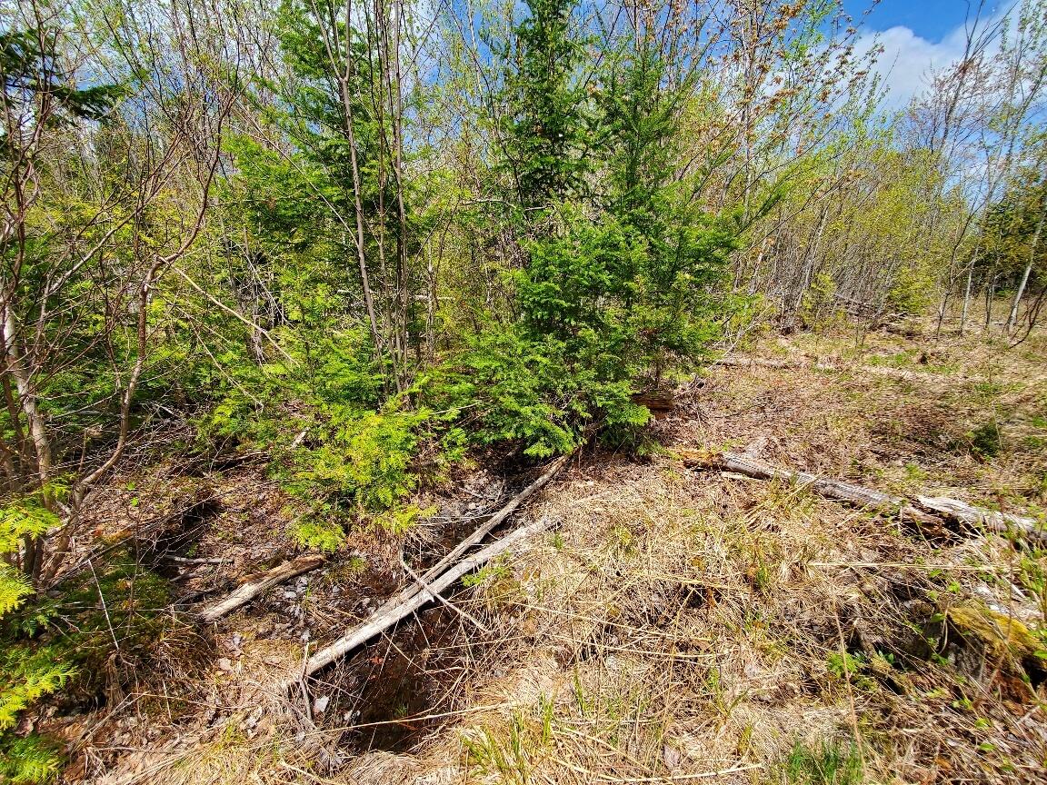 Lot#2 Cone Road Property Photo 18