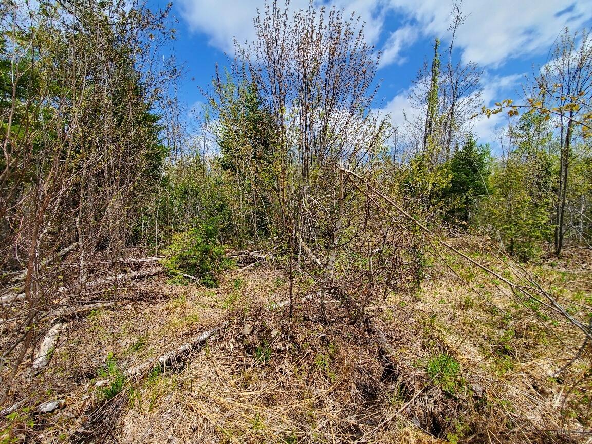 Lot#2 Cone Road Property Photo 19