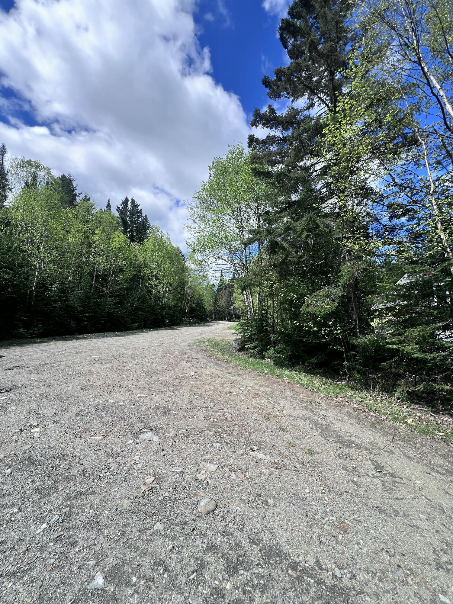 Lot 58 Left Branch Property Photo 7