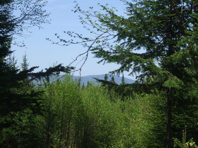 Lot 58 Left Branch Property Photo 11