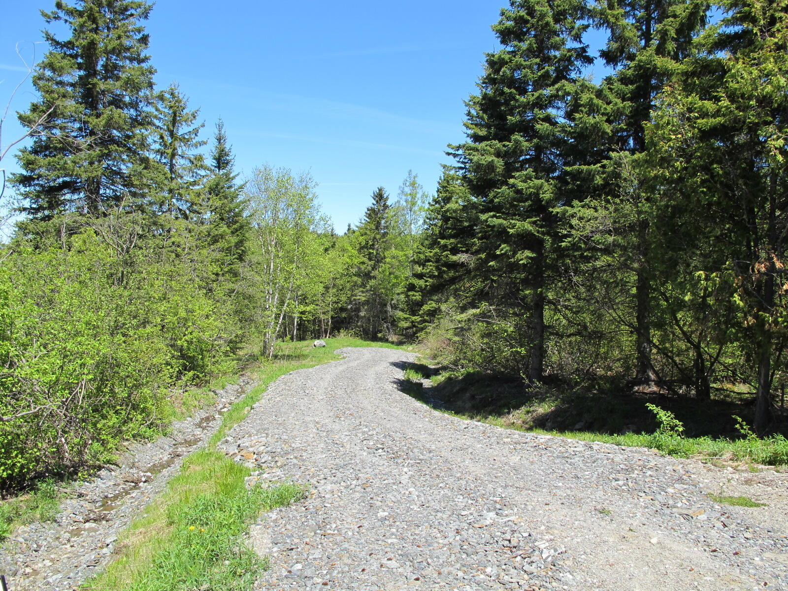 Lot 58 Left Branch Property Photo 13