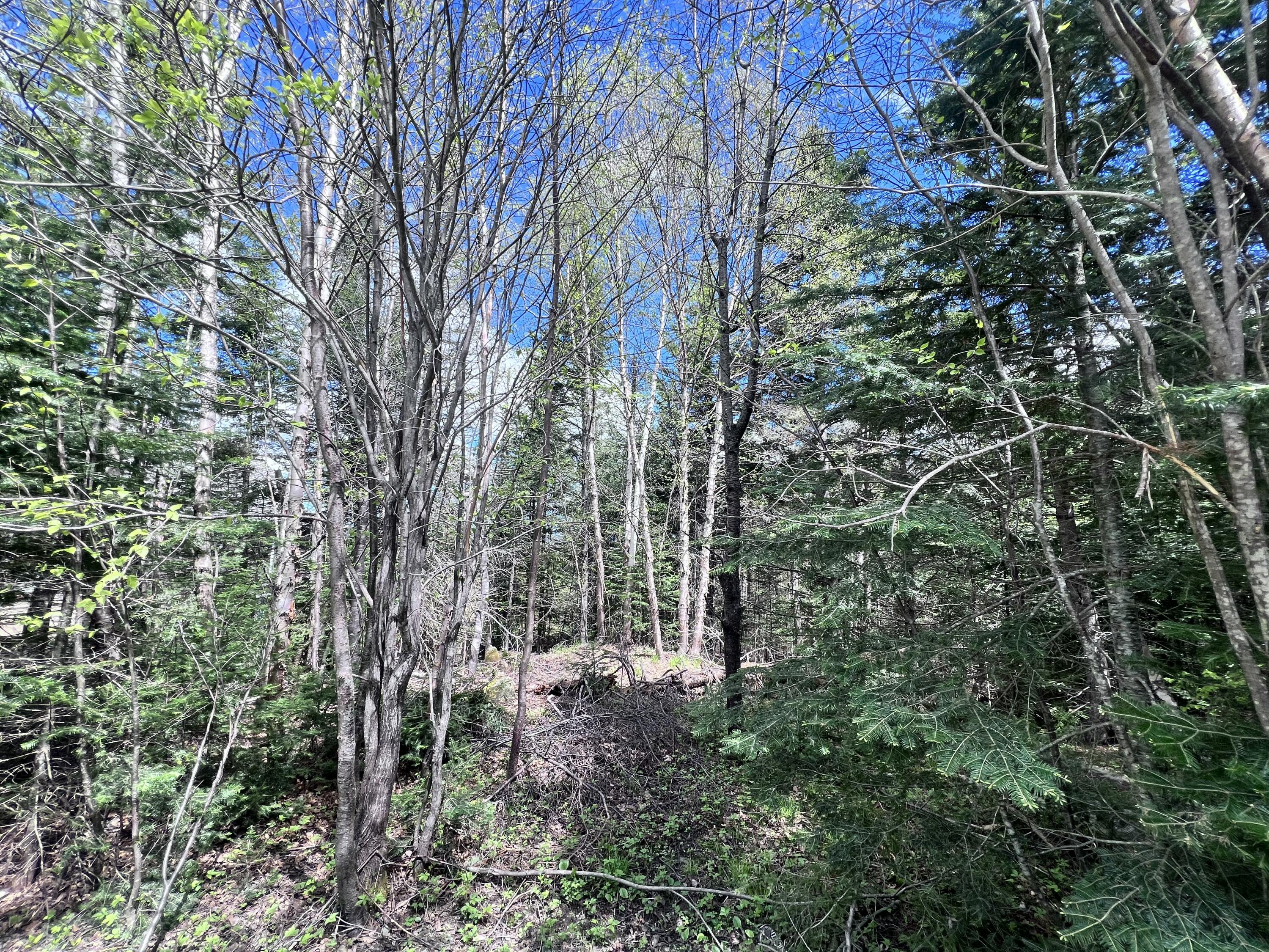 Lot 58 Left Branch Property Photo 16