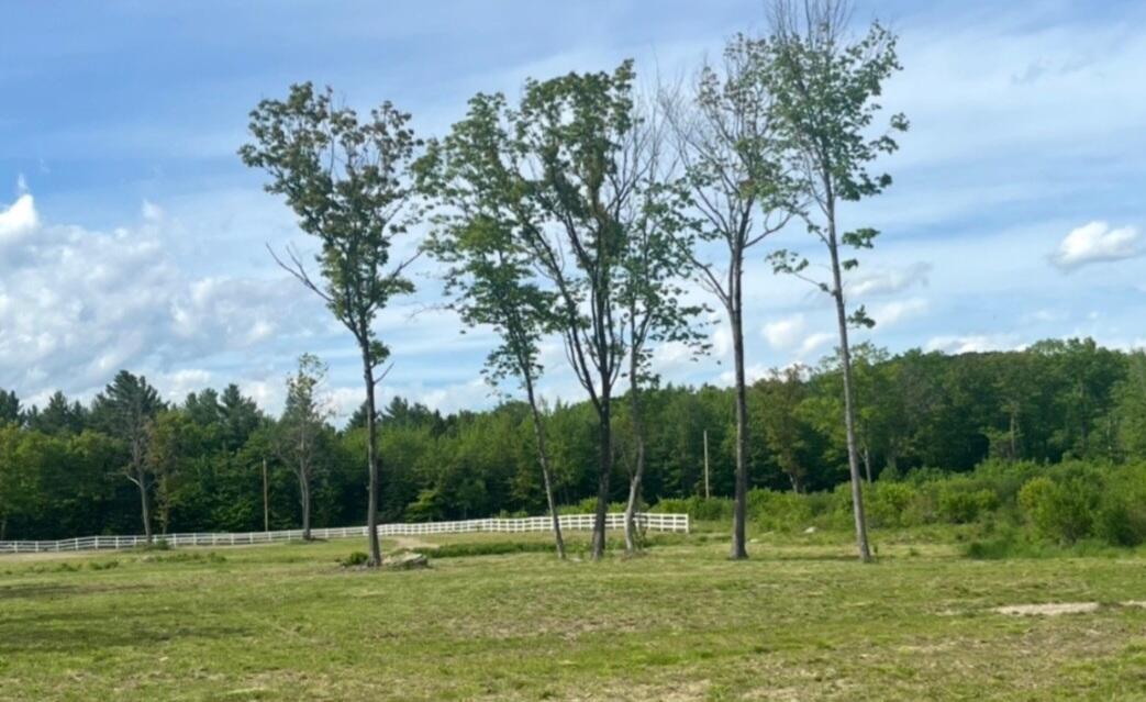 Map13-30.2 Buckfield Road Property Photo 8