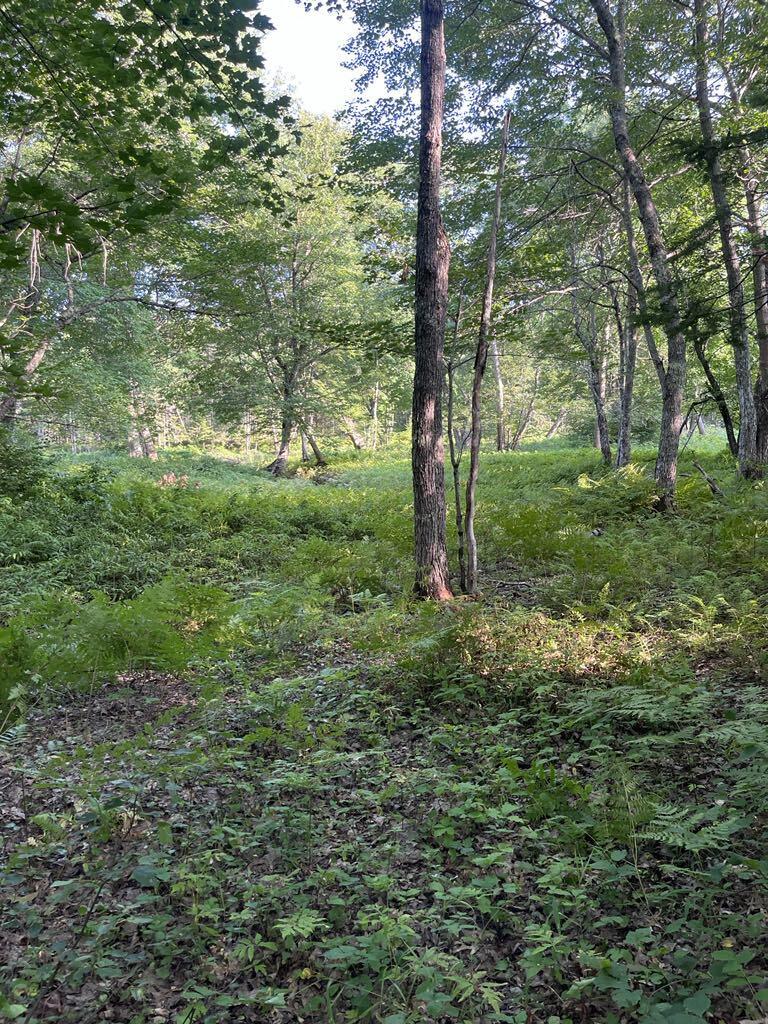 Tbd Cummings Lane Property Photo 4