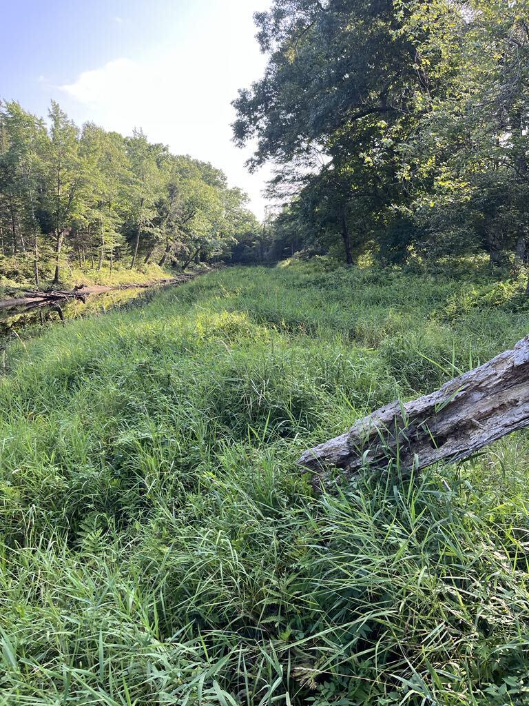 Tbd Cummings Lane Property Photo 13