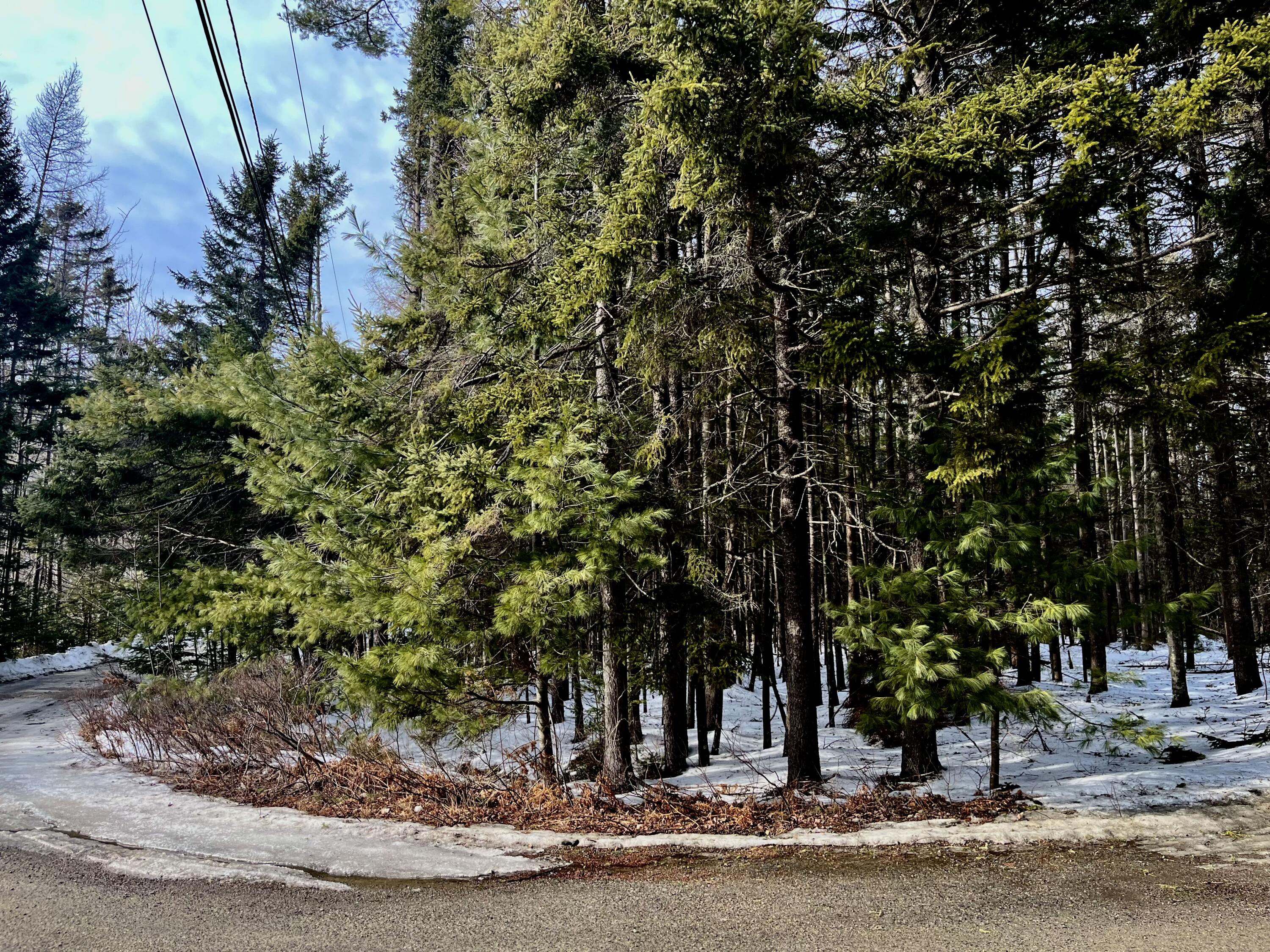 13 Jodys Acres Property Photo 2