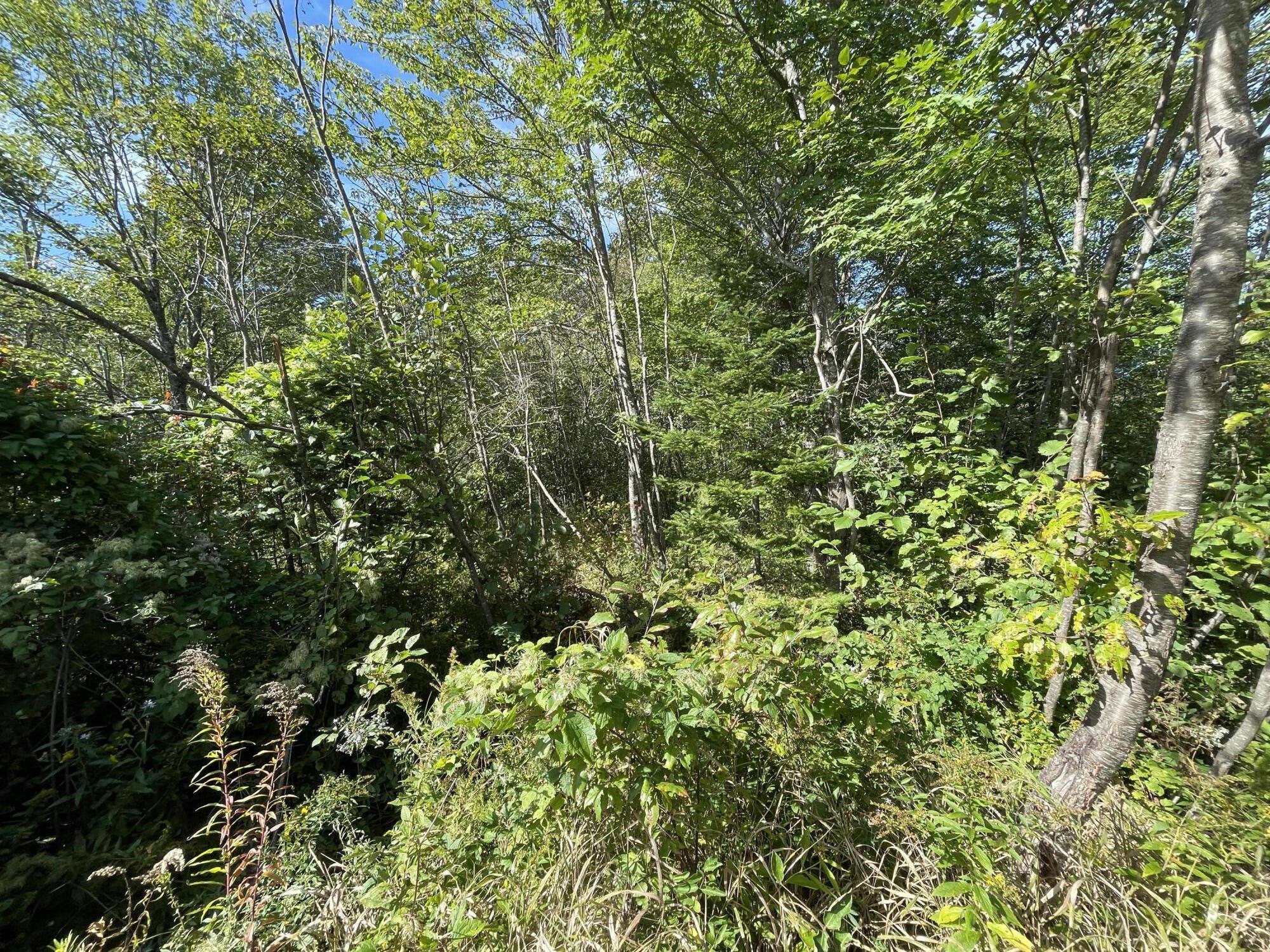 M11 L5 Hancock Pond Road Property Photo 4