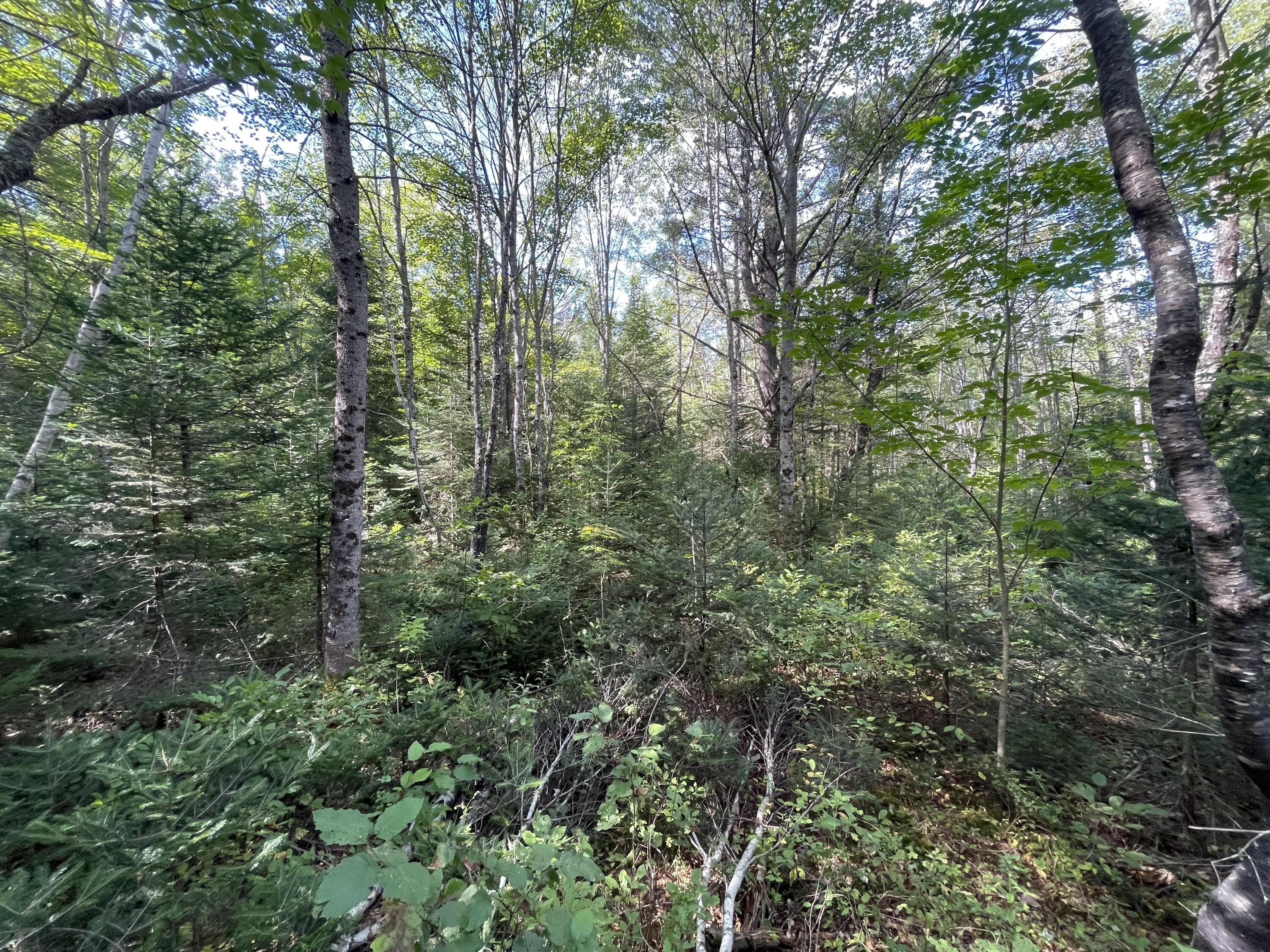 M11 L5 Hancock Pond Road Property Photo 5