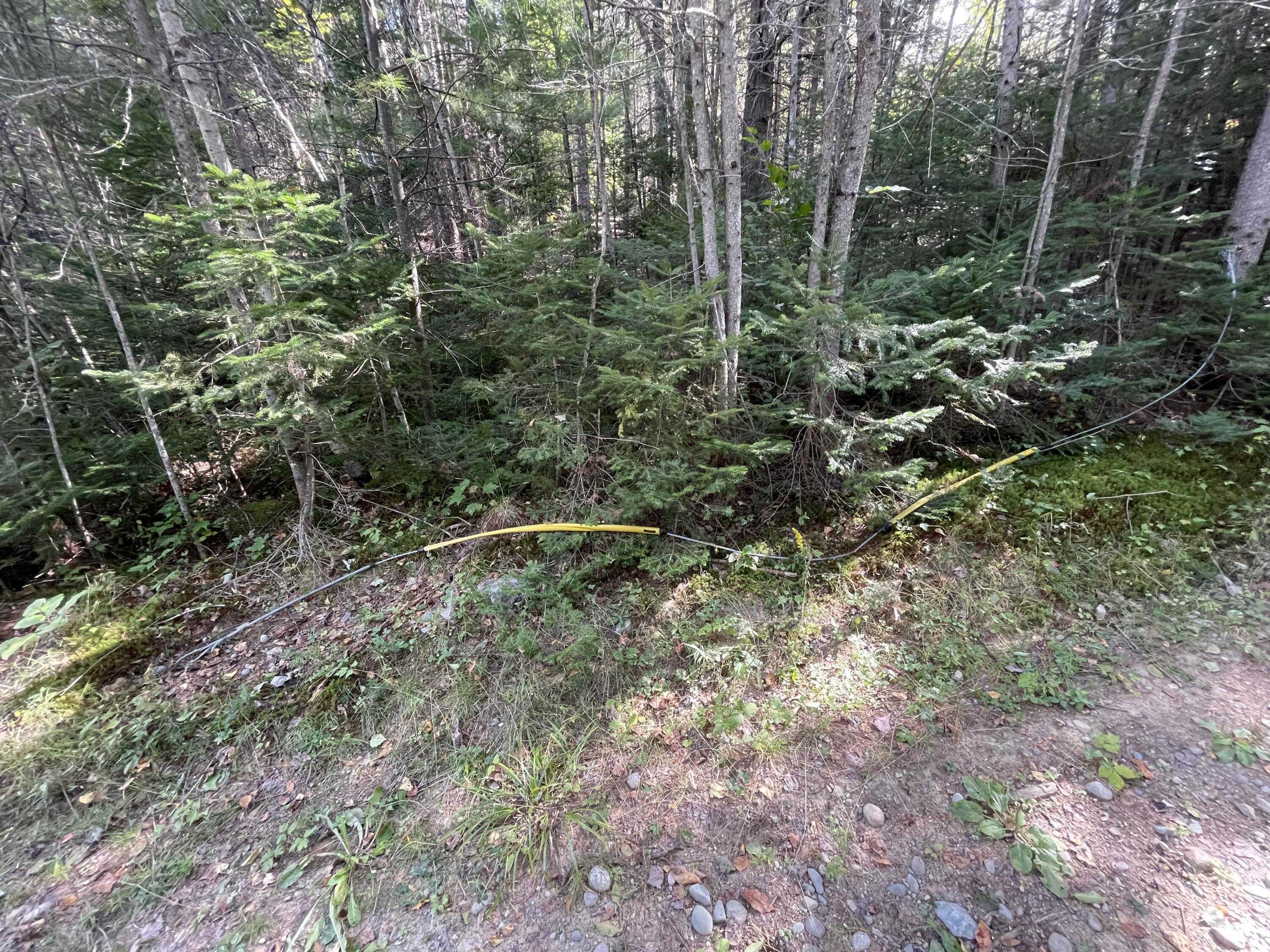 M11 L5 Hancock Pond Road Property Photo 7