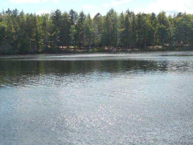 000 Egg Pond Road Property Photo 4