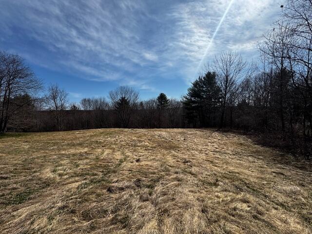99 Easy Street Property Photo 26