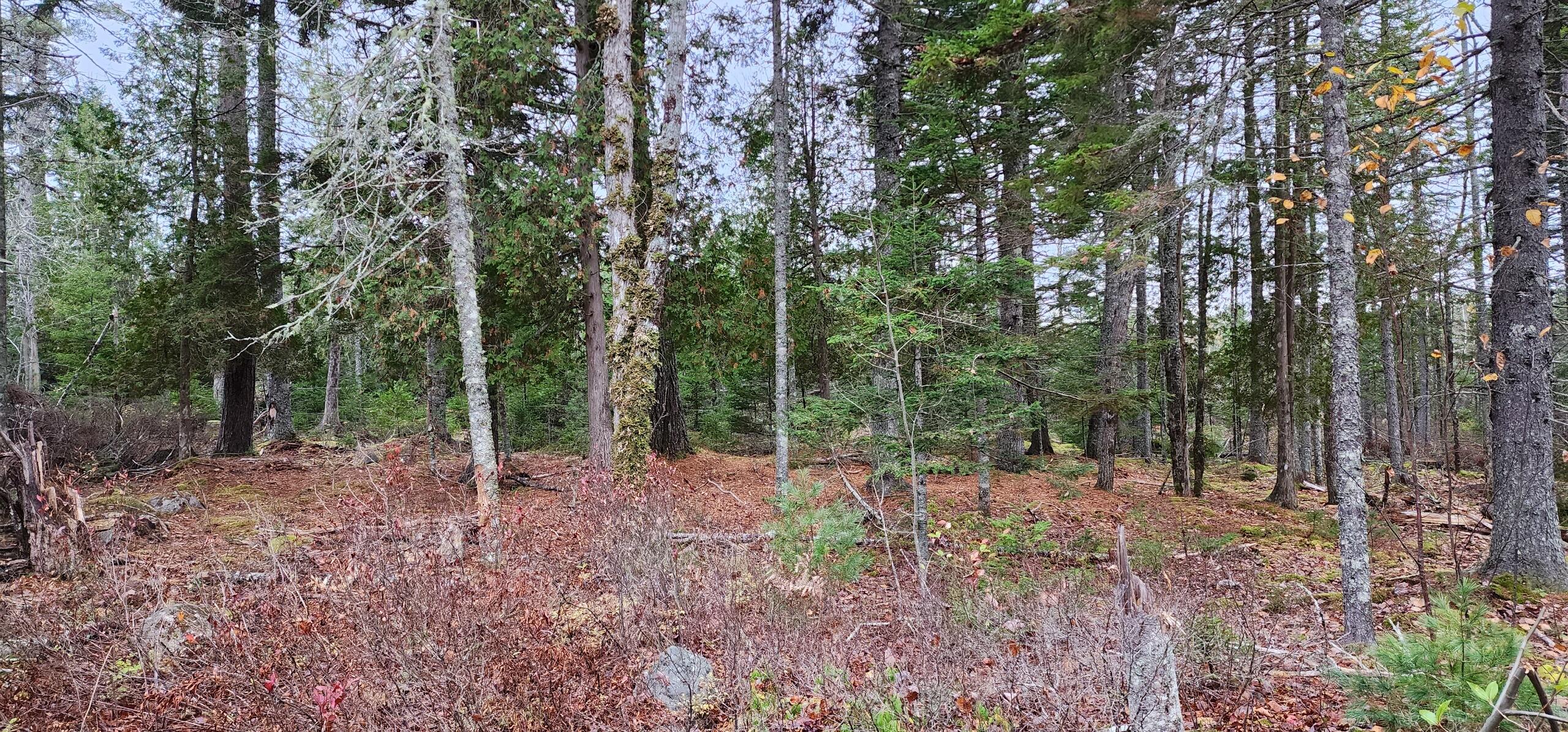 52 Harls Camp Road Property Photo 5