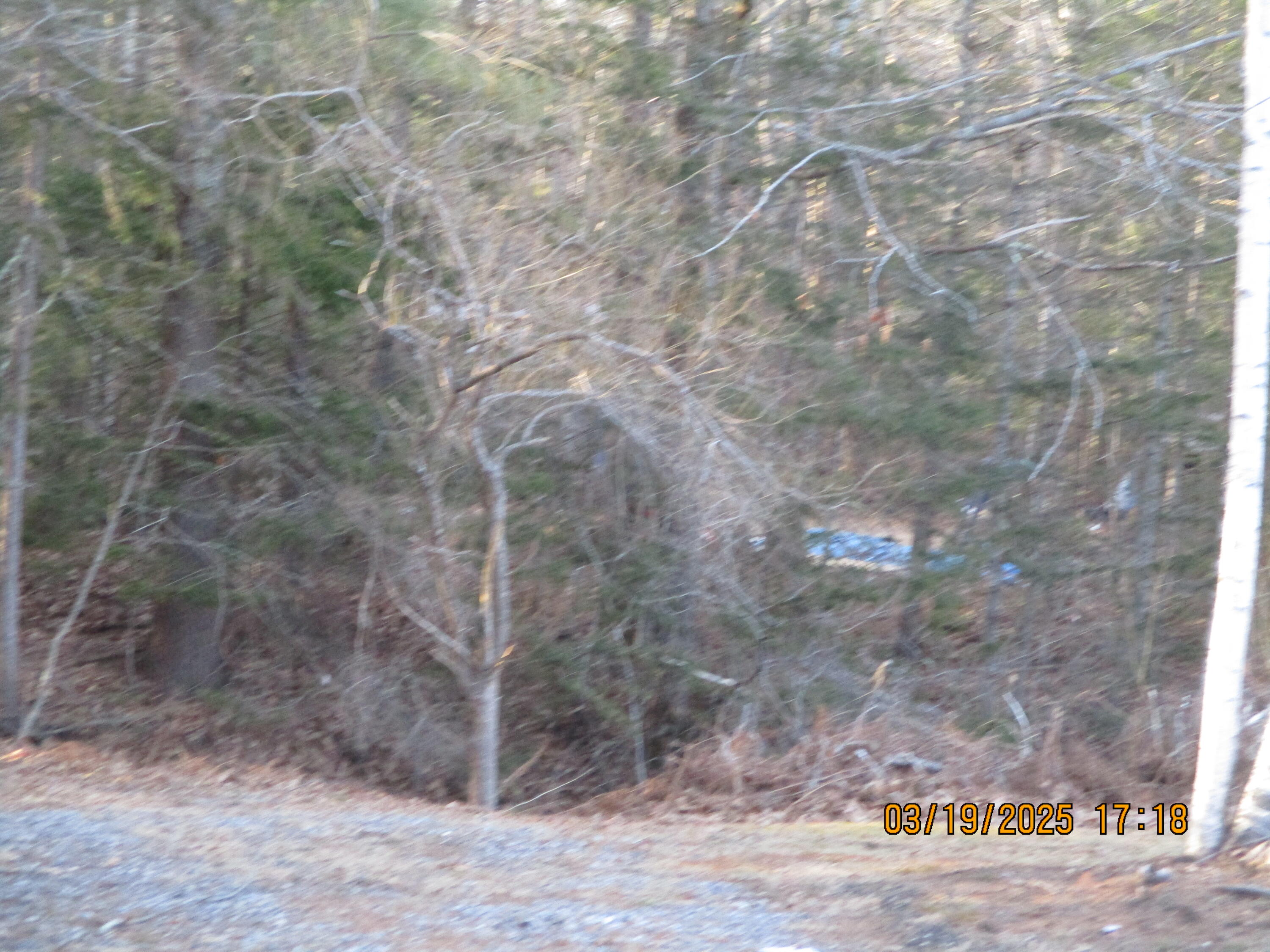 Lot # 00 Grover Lane Property Photo 5