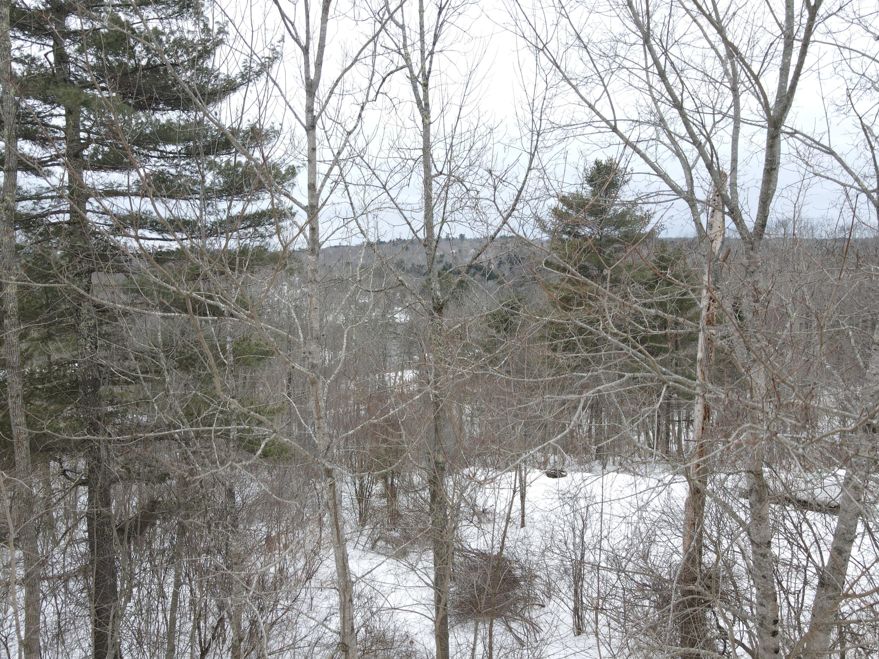 0 Patterson Hill Road Property Photo 19