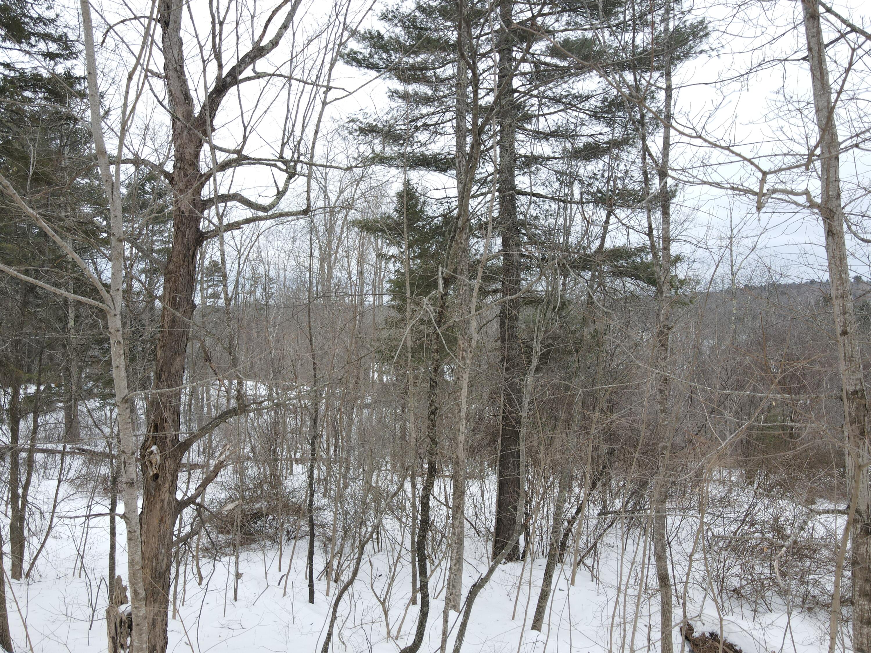 0 Patterson Hill Road Property Photo 20