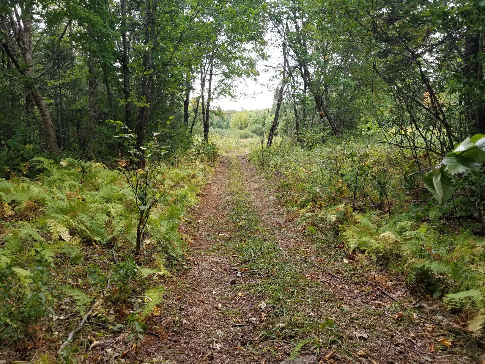 0 Beaver Lane Property Photo 2