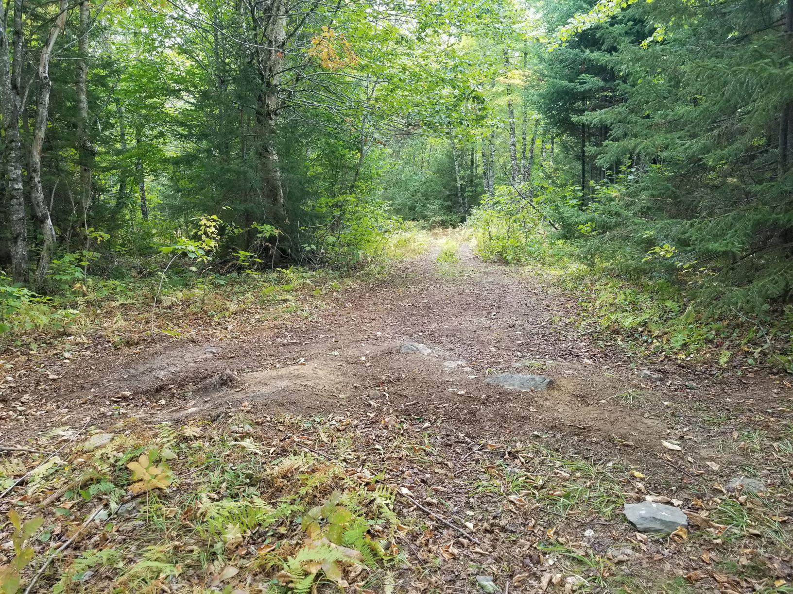 0 Beaver Lane Property Photo 3