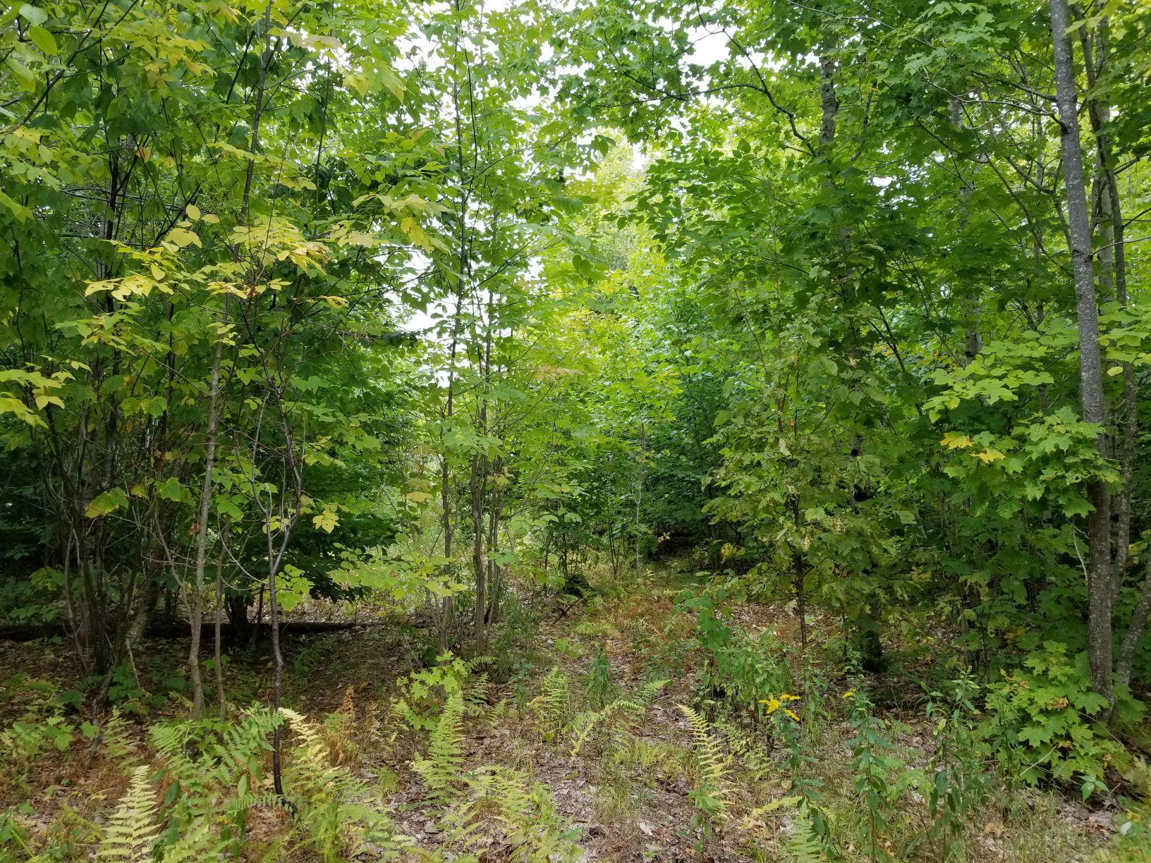 0 Beaver Lane Property Photo 25