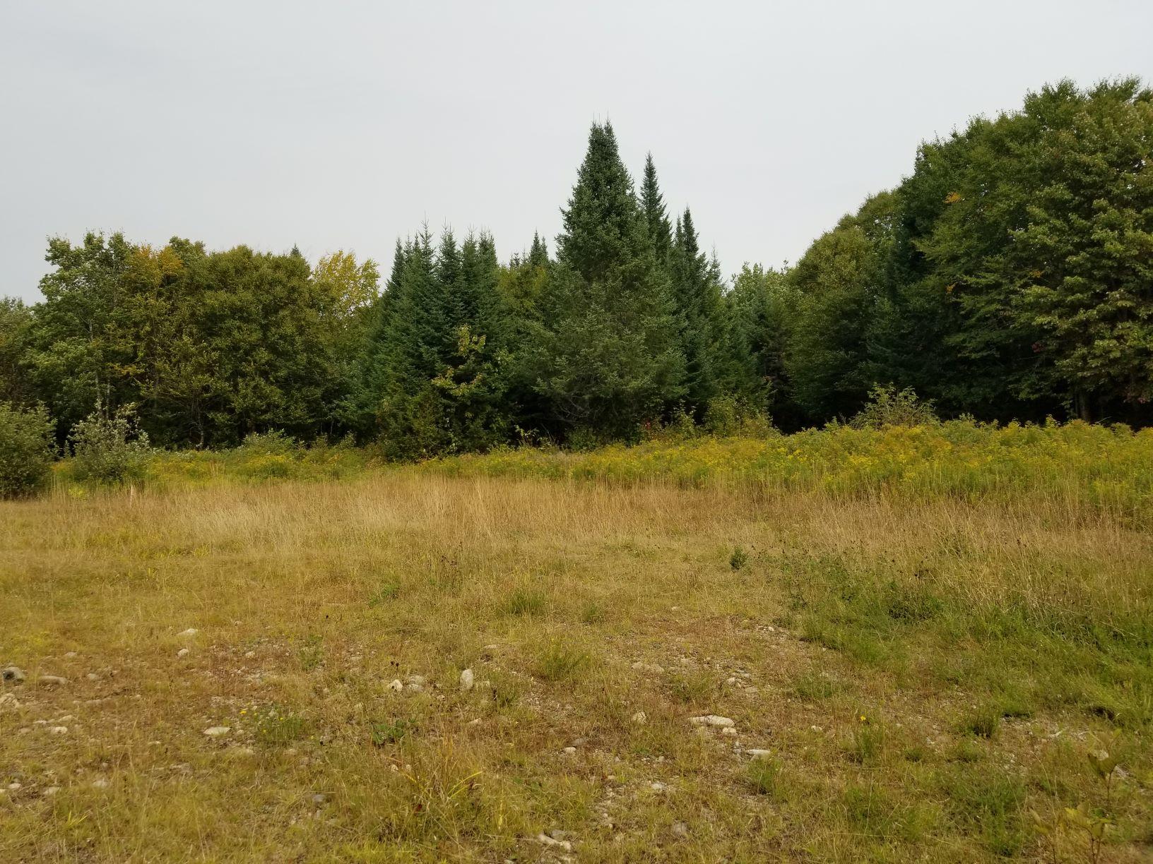 0 Beaver Lane Property Photo 30