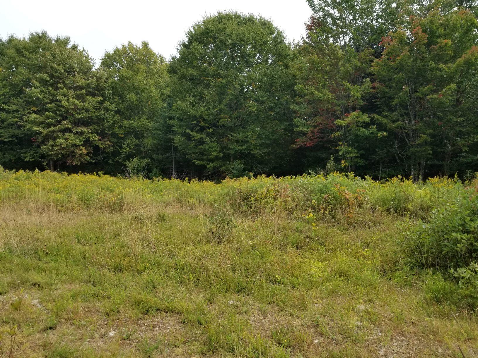 0 Beaver Lane Property Photo 31