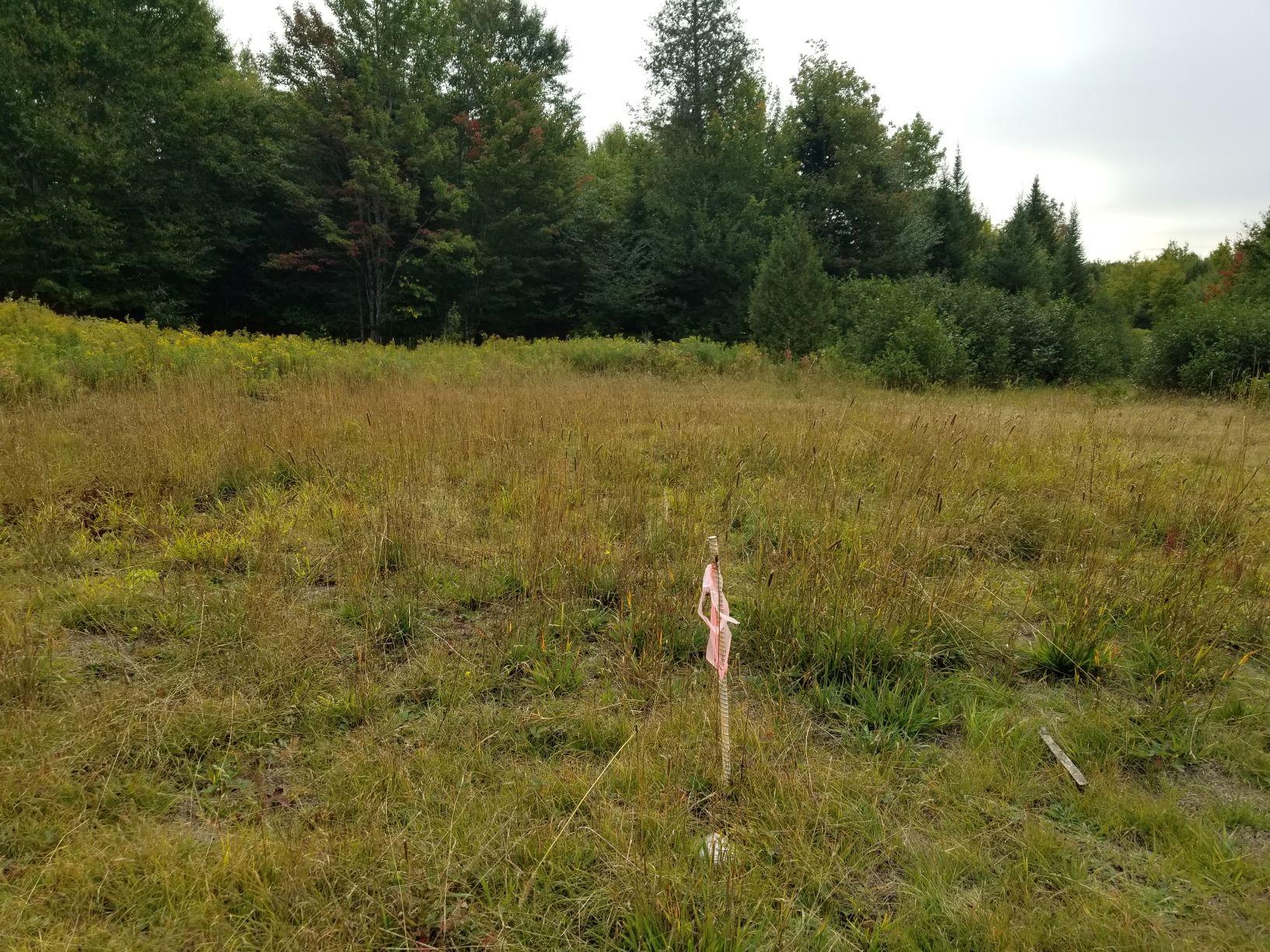 0 Beaver Lane Property Photo 32
