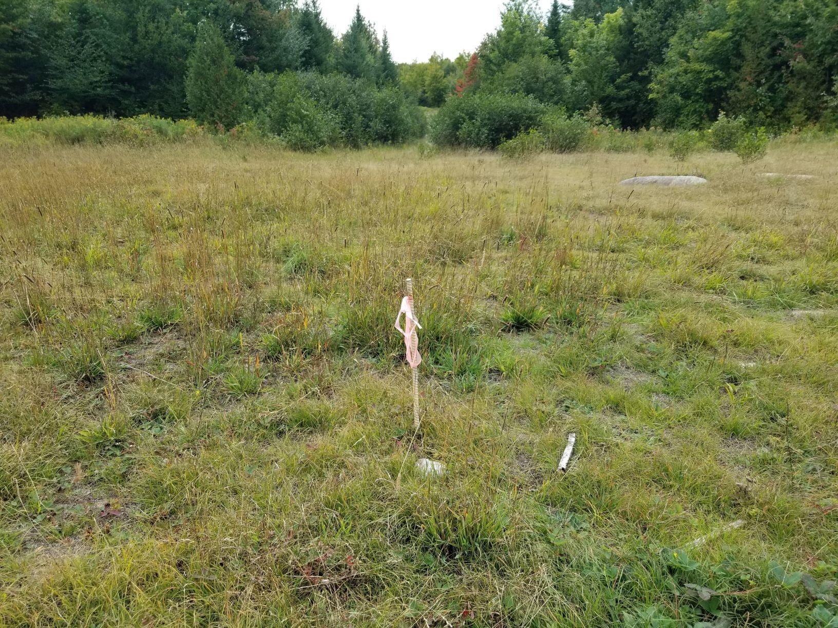 0 Beaver Lane Property Photo 33